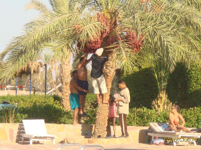 �� ������