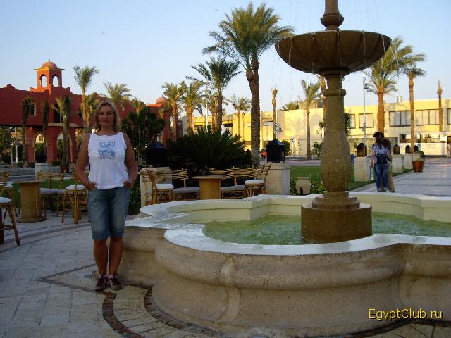 �� ������� ����� ������ ����� ������