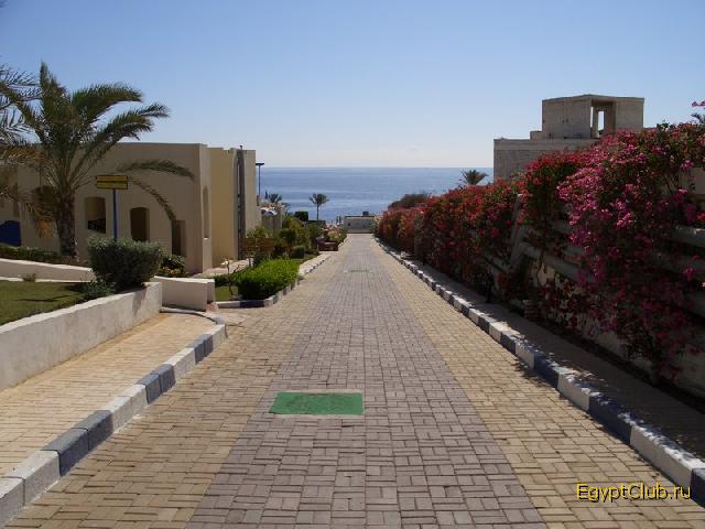 ������ �� ����