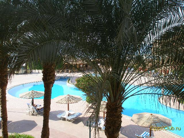 ������ ����