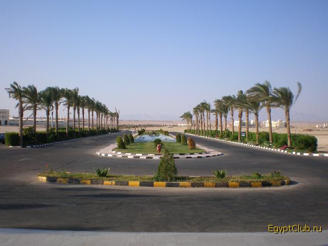 ��� �� �����