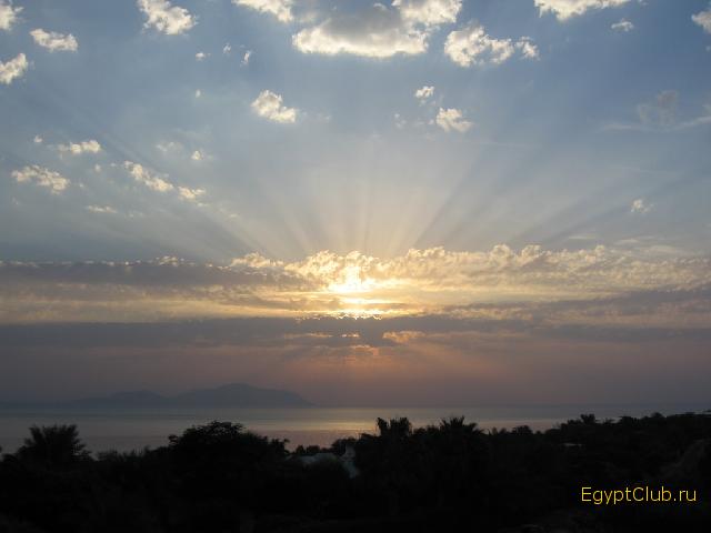 ������� ��� �������