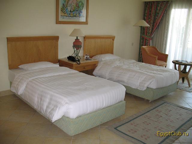 ����� 4204