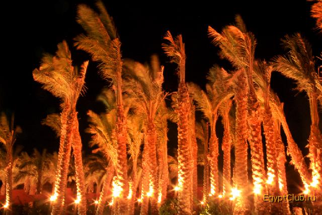 ��������� ����  -  1 ��