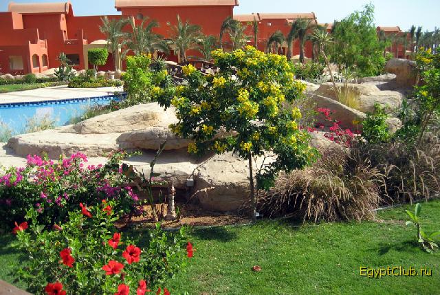 �� �� �������