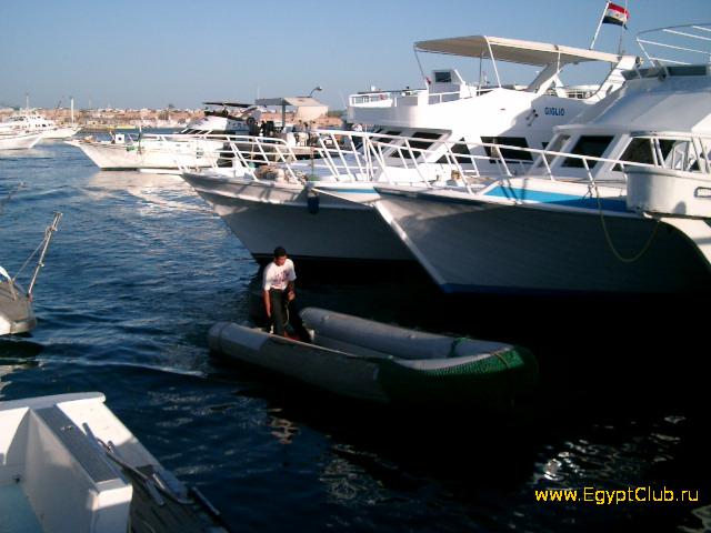 ������ � ����� ����-���-�����