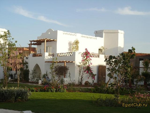 �������-����������