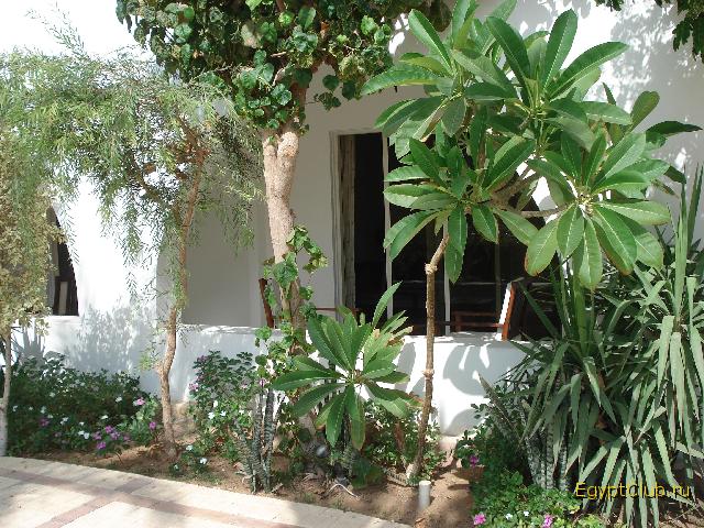 ��� �� ����� � �����