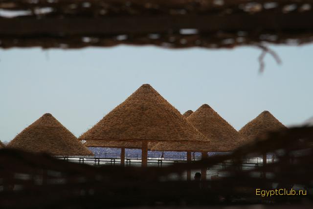 ������ ����