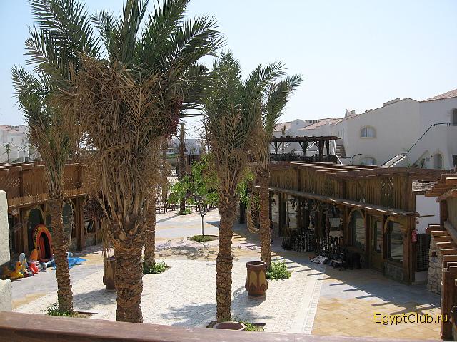 �������� �����