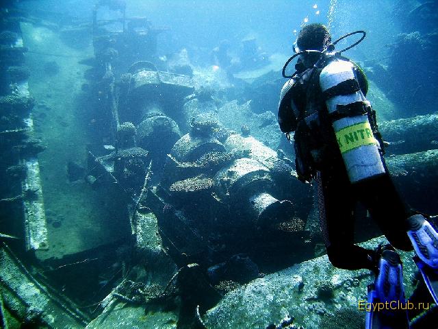 �� ������ ������