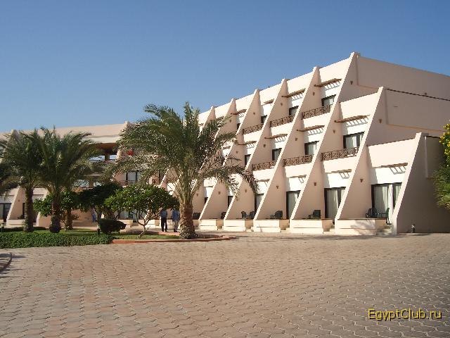 ��� ���� ����� ������