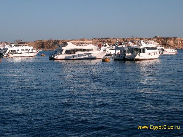 ������ � ����� ����-���-�����