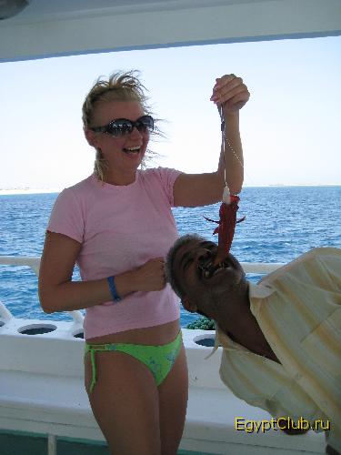 � � ����� �������