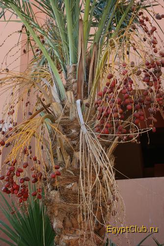 ��������� ������