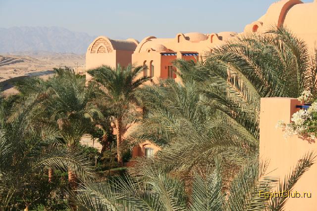 ������ �����