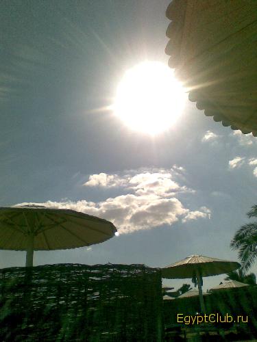 ��� ����