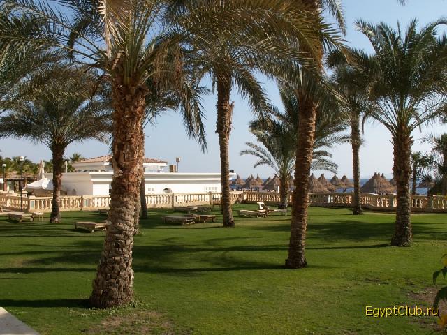 ��������� �������� ��� ��������