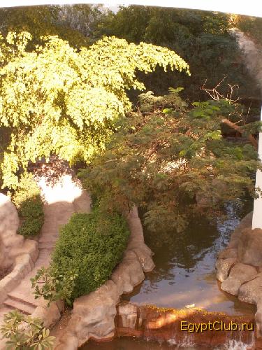 ������� ������. 