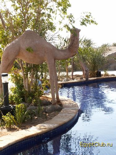 ��������� ������� ������