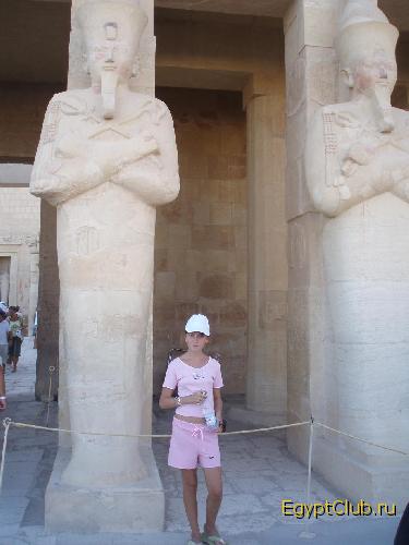 ���� ���������