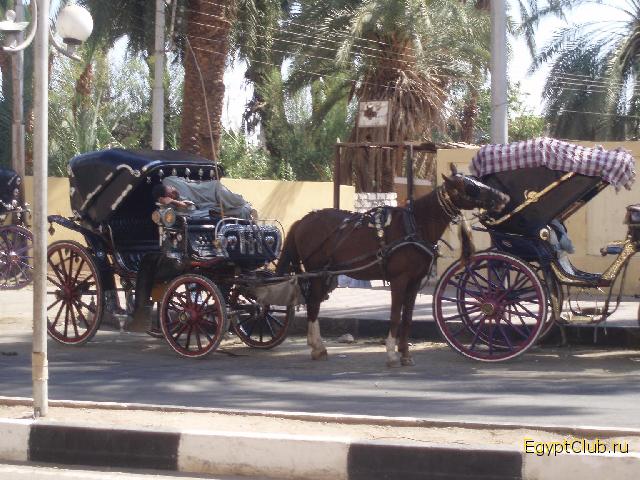 ������. �������� ������������