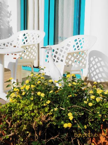 Sun Rise Garden Beach