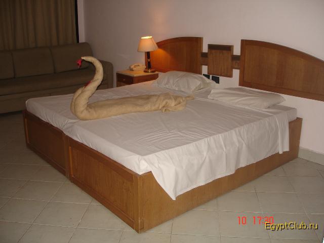 ���� ������