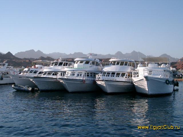 ������ � ����� ����-���-�����