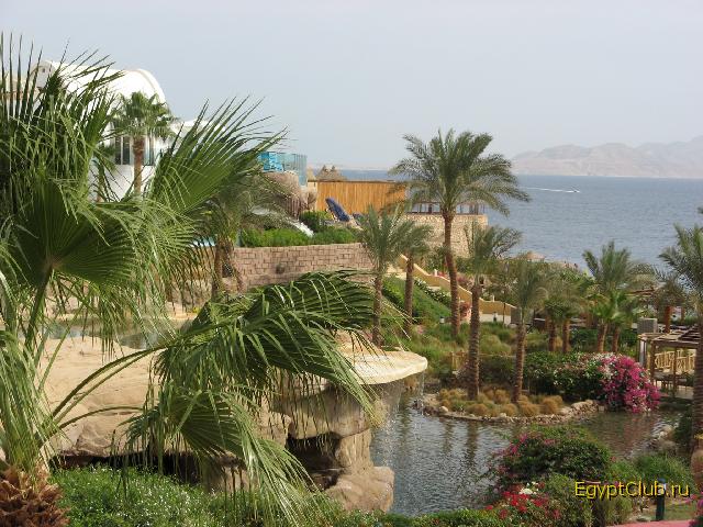 �����, ��� �� ����