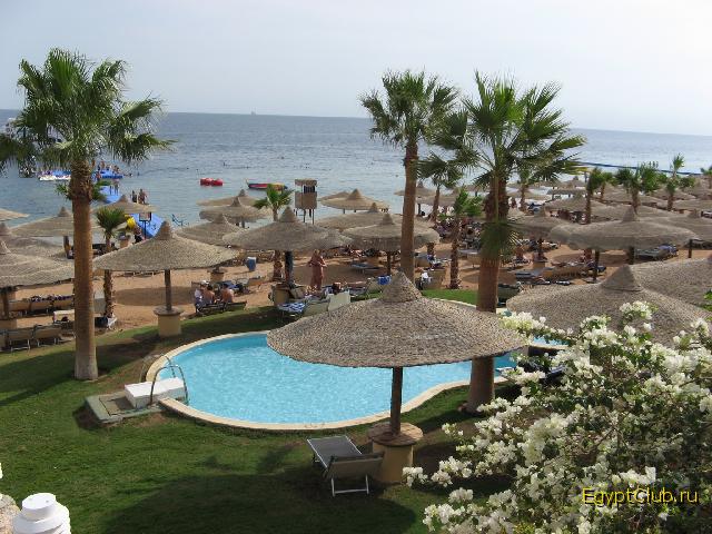 ���� �����