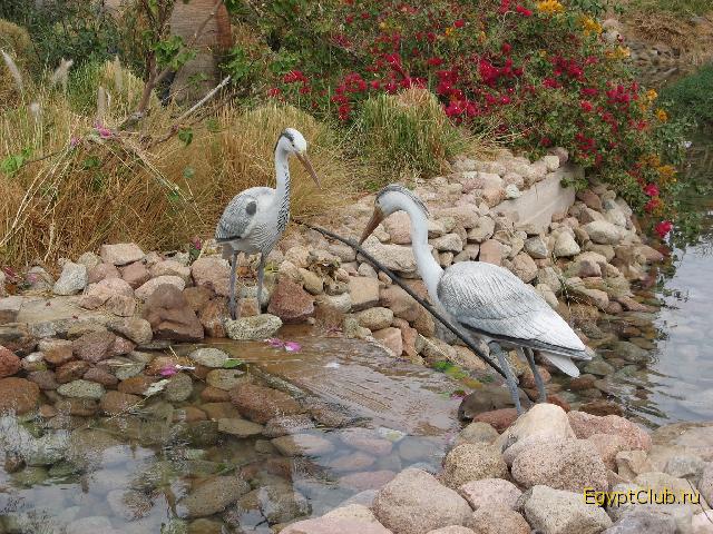 ������ � �������)))