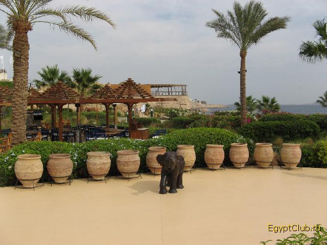 ��� ������� ������