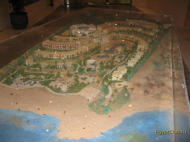 �����-����� �����