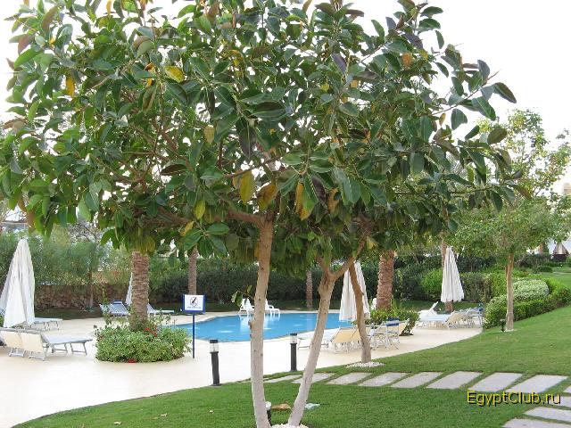 � ��� ���� �����