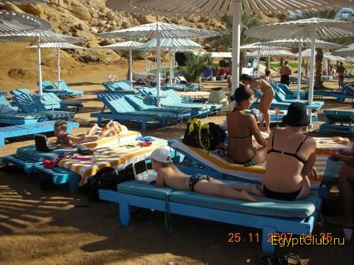 �� ����� ������  ���� ������