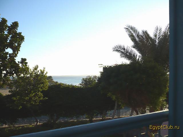 ��� � ������� (�504)