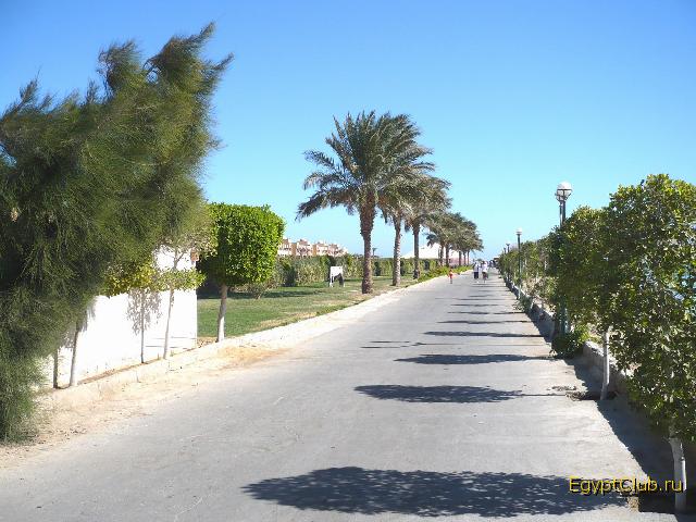 ������ �� ����