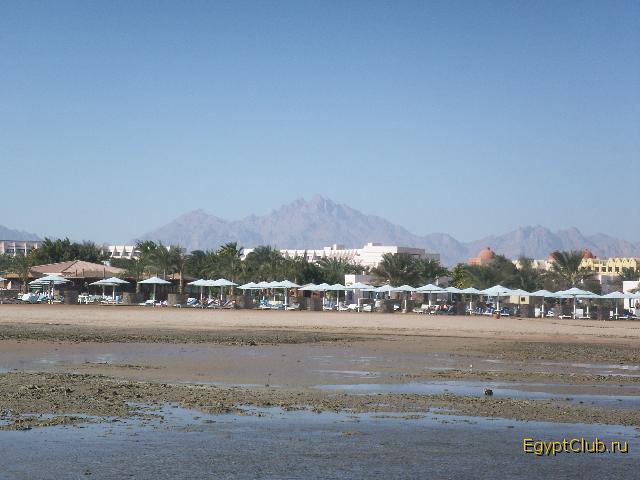 ���� ��� � ����