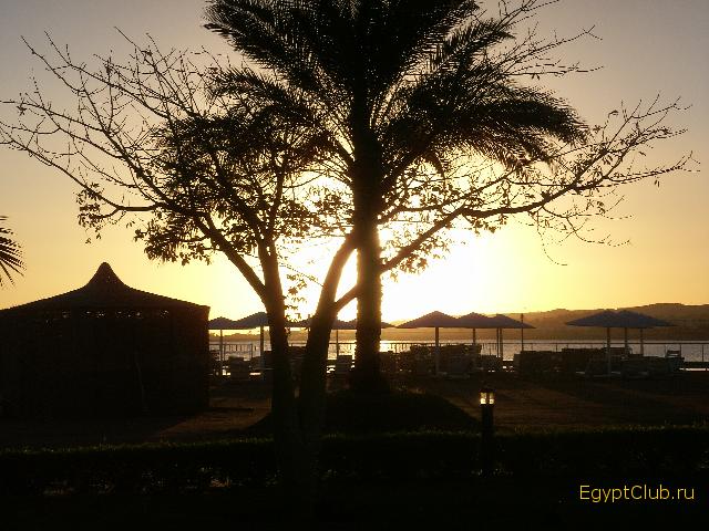 ��� �� ������