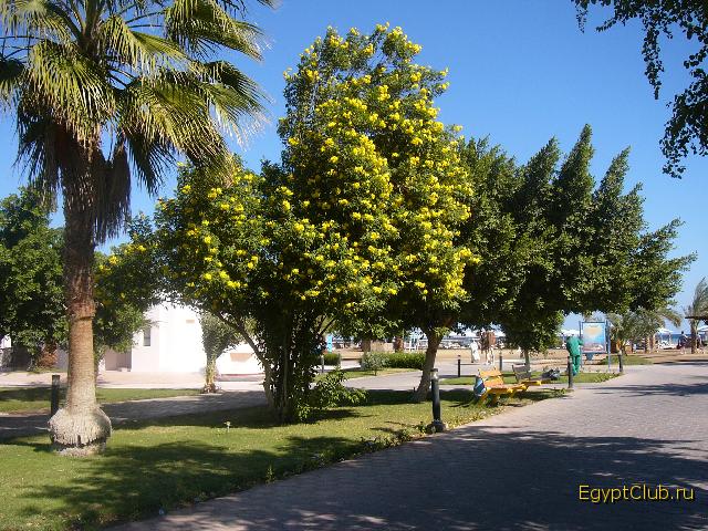 ������ � �����