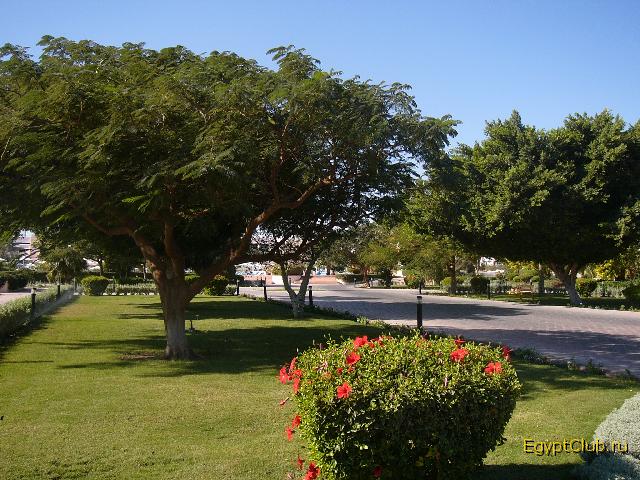 ����������� ����� 