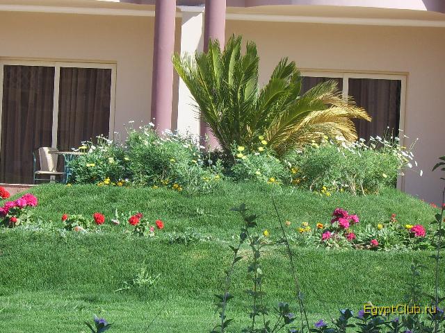 ������ �� ���������