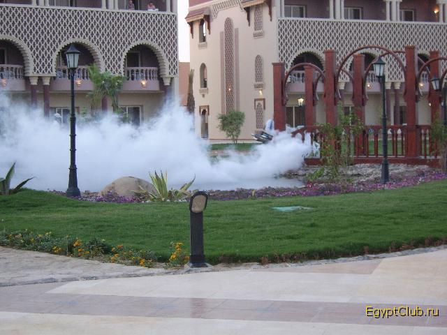 ������ � ����������