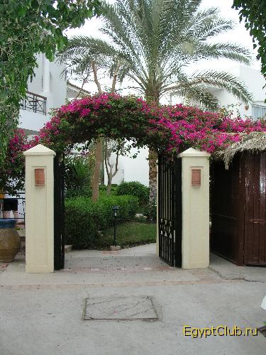 ���� � Residence �� ������� �������� ����������