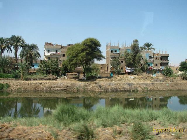 ������ ����