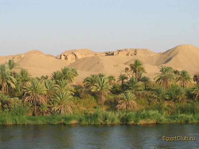 ������ ����