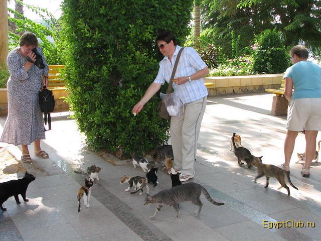 ����� � ������������ ����