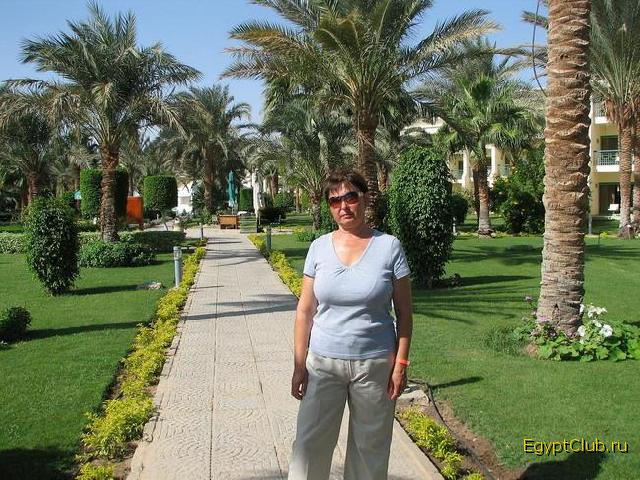 ���������� ����� ������ ������� ������