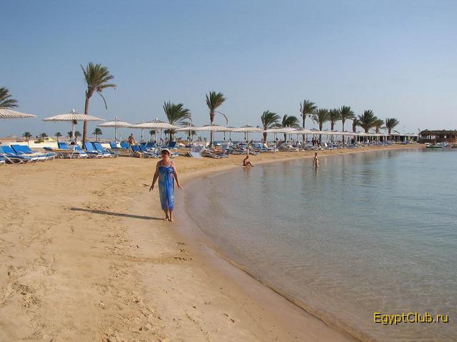 ���� ����� ������ ������� ������